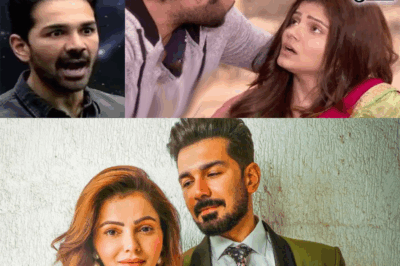 In a drunken state, Abhinav Shukla slapped his wife Rubina, causing an uproar in the TV industry.