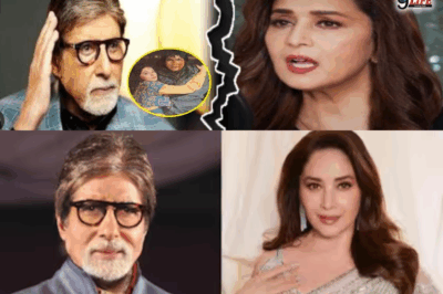 Madhuri Dixit’s Difficult Decision: Actress Declines Project with Amitabh Bachchan Amid Tears