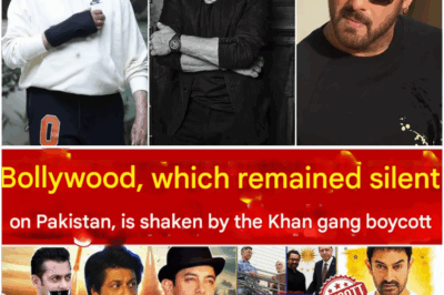 Bollywood Khan gang which remains silent on Pakistan is trembling due to boycott, Shahrukh Aamir against boycott Bollywood?