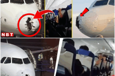Indigo Flight Emergency Landing: Delhi-Srinagar flight suffered severe turbulence, front part broke