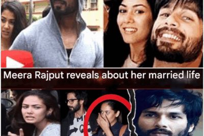 Meera Rajput revealed about her married life, told the truth about Shahid Kapoor