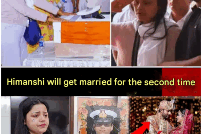 After the final farewell, Himanshi took a big decision about second marriage..?! Vinay Narwal