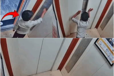 UP Shocker: Child Accidentally Halts Elevator Mid-Ride — What Happened Next Will Leave You Speechless!
