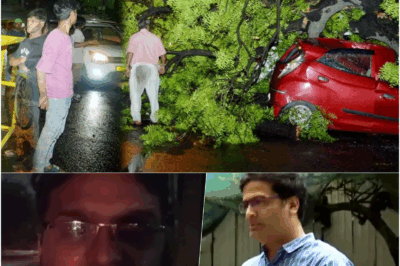Fierce Weather Strikes Delhi-NCR: 79 Kmph Winds, Heavy Rain, and Hailstorm Batter the City!