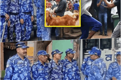 Delhi Tensions Erupt: Midnight Hindu-Muslim Clash Over Goat Sparks Chaos, RAF Steps In