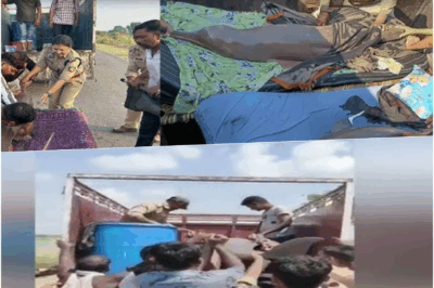UP News: Dramatic 12-Hour Rescue Mission Saves 6 Dolphins in Lucknow After 7 Challenging Phases!