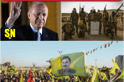 Historic Surrender: PKK Kurdish Fighters End Decades-Long Battle for Independence in Turkey