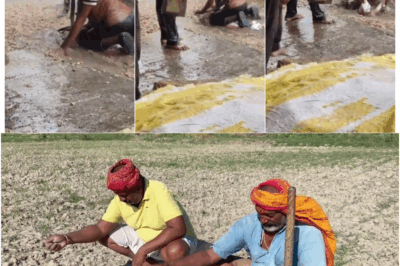 Maharashtra Monsoon: Farmers Don’t Just Get Wet—Their Dreams Are Washed Away | This Heartbreaking Video Will Move You to Tears