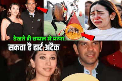 What Was Special About the Bee That Took the Life of Karisma Kapoor’s Husband? The Tragic Passing of Sunjay Kapur