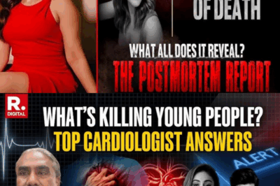 Shefali Jariwala Death Case: 14 Statements Recorded, CCTV Footage Seized, Say Sources