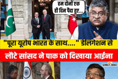 BJP MP Ravi Shankar Prasad Delivers Stern Rebuke to Pakistan, Cites Shared Independence Day