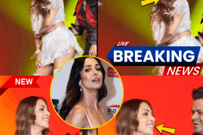 Malaika Arora’s Timeless Allure: Dance, Dazzle, and Defiance at 51