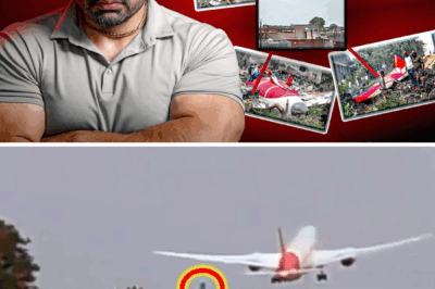 Debate Erupts Over Cause of India 171 Crash: Was It Pilot Error or Something More?