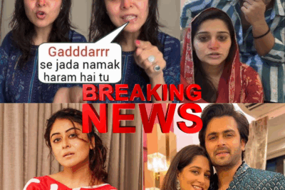 Falaq Naaz’s Candid Response to Dipika Kakkar & Shoaib Ibrahim’s Live Session: A Call for Unity and Responsibility in the Entertainment Industry