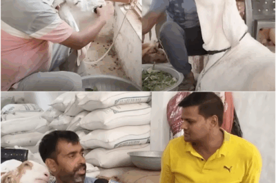 Bulandshahr Shocker: Meet the ₹10 Lakh Goats with Stunning Weight and Diet Secrets Revealed by Owner!