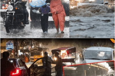 Delhi Weather Today: Stormy Rains, Lightning Strikes, and Strong Winds Expected | IMD Alert | Thunderstorm Warning