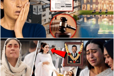 Karisma won’t receive a single penny from the ₹50,000 crore fortune! – Sanjay Kapoor