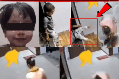 Tragedy in Mumbai: Young Girl Falls to Her Death from 12th Floor in Vasai Apartment Complex – Police Launch Full Investigation