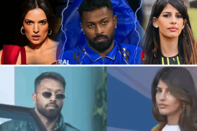 Hardik Pandya and Jasmine Walia Break Up Less Than Eight Months After Relationship Began