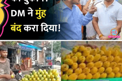 Muzaffarpur DM’s Firm Response on ‘Illegal Meat Shop’ Complaint Goes Viral, Wins Praise for Upholding Rule of Law