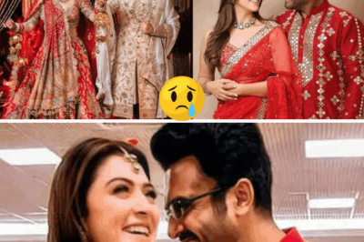 Hansika Motwani and Sohael Khaturiya Heading For Divorce After 2 years Of Wedding?