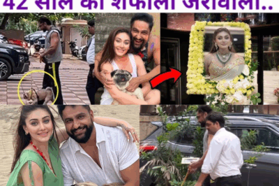 Heartbreak Beyond Words: Shefali Jariwala’s Dog Simba Dies of Grief Three Days After Her Funeral