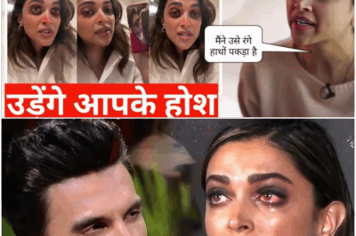 You will be shocked knowing the reason behind the divorce of Bollywood’s biggest couple Deepika Ranveer