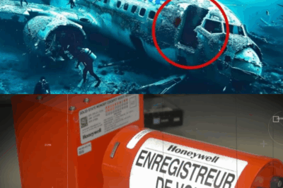 Malaysia Airlines MH370: The Mysterious Disappearance That Shocked the Entire World—Unbelievable Theories and Secrets Finally Revealed!