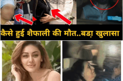 Bigg Boss 13 Fame Shefali Jariwala’s Sudden D*ath: Doctors Reveal Shocking Details