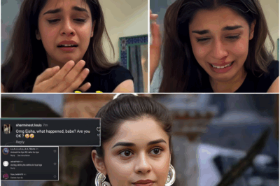 Eisha Singh Gets Brutally Attacked, Shares Horrifying Video, Netizens Wonder Who Is Responsible?