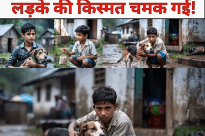 बारिश में भीगता कुत्ता दिखा तो लड़का ले आया घर, पर जब सुबह उसके गले में छिपी ये चीज़ मिली तो हर कोई चौंक गया—किस्मत ने पलटी ऐसी कि सबका यकीन उठ गया!