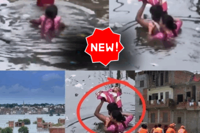 Prayagraj Under Siege: Rising Ganga and Yamuna Cause Devastating Floods, Thousands Displaced and City Paralyzed