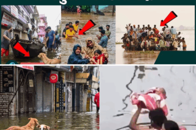 Monsoon Fury in Uttar Pradesh: Floods Devastate Villages, Force Mass Evacuations, and Challenge Authorities