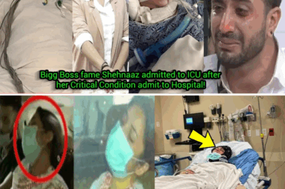 Bigg Boss fame Shehnaaz Gill admitted to ICU after her Critical Condition admit to Hospital!