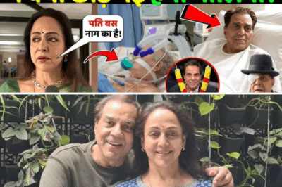 Why Did Hema Malini Leave Sick Dharmendra Alone in His Final Days? | Dharmendra | Dharmendra News