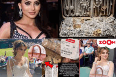 Urvashi Rautela ₹70 Lakh Diamond Jewellery Goes Missing at London Airport