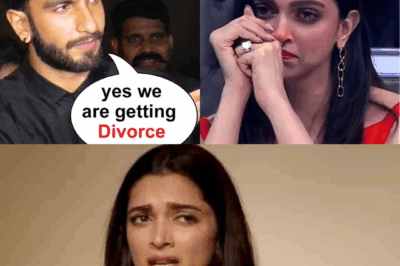 Deepika Padukone Ranveer Singh Divorced Rumours Netizens Are Worried On Social Media