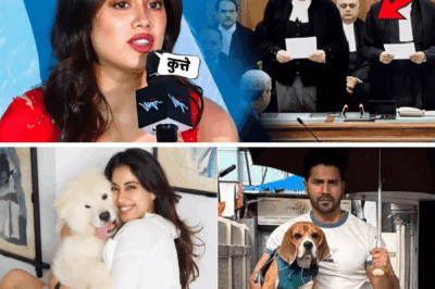 Janhvi Kapoor Angry On Supreme Court And Expressing Strong Disagreement With Decision On Dogs