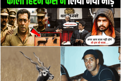 A mountain of troubles has fallen on Salman Khan! He is sure to go to jail, the black buck case has taken his sleep away Salman Khan black bucks