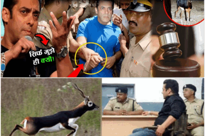 Salman Khan’s imprisonment is confirmed, Black deer case again took Salman’s sleep away. Salman Khan Black Book