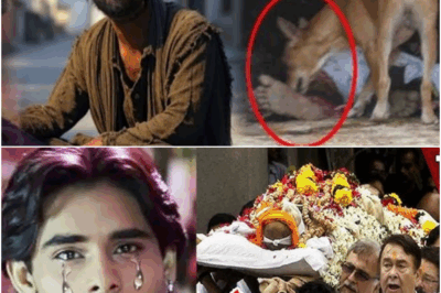 Tum Se Achcha Kaun Hai Actor Nakul Kapoor: The Truth Behind His Disappearance and Death Rumors