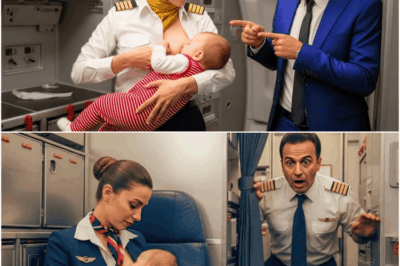 BİR MİLYONERİN BEBEĞİNİ EMZİREN KABİN MEMURU, REDDEDİLMESİ ZOR BİR TEKLİF ALDI…