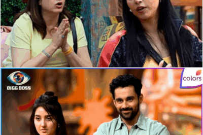 बिग बॉस 19: कुनिका और तन्या के बीच जबरदस्त लड़ाई, देखें दिन 11 का धमाकेदार एपिसोड 12 प्रोमो