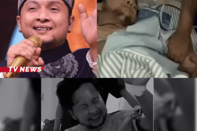 Pawandeep Rajan meets an ACCIDENT, video goes VIRAL, fans are praying for SPEEDY recovery