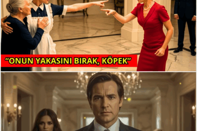 MİLYONER, HİZMETÇİYİ HASTA ANNESİNİ KORURKEN YAKALADI… VE GÖRDÜĞÜ KARŞISINDA ŞOKE OLDU!