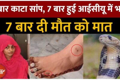 महिला के साथ यह घटना बार-बार क्यों हो रही है, रहस्य किसी को समझ नहीं आ रहा…महिला के साथ यह घटना बार-बार क्यों हो रही है, रहस्य किसी को समझ नहीं आ रहा…