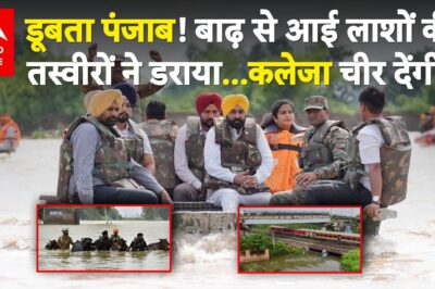 Devastation in Punjab: Relentless Rains and Dam Water Release Trigger Unimaginable Flood Crisis