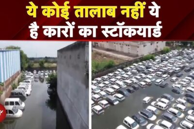 Haryana Flood: Maruti Suzuki Stockyard में करोड़ों की गाड़ियां डूबीं, पानी में तबाही | VIRAL VIDEO