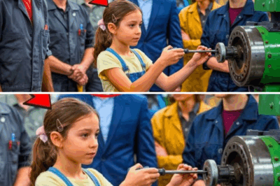 मल्टीमिलियनेयर हर दिन खो रहा था ₹2 करोड़ — लेकिन एक गरीब लड़की ने बचाई उसकी फैक्ट्री और बदल दी