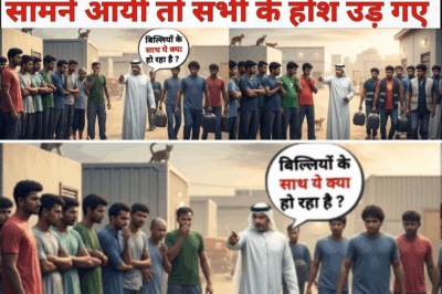 दुबई के एक लेबर कैम्प में रोजाना बिल्लियां गायब हो जाती थी, जब सच्चाई सामने आयी तो सभी के होश उड़ गए